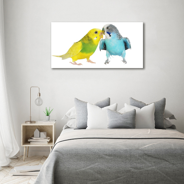 Foto schilderij op glas Parkieten