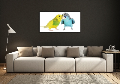 Foto schilderij op glas Parkieten