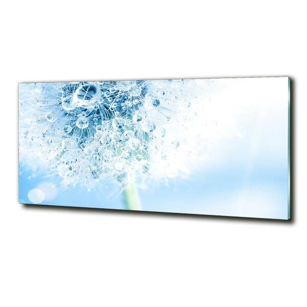 Foto schilderij op glas Paardebloem