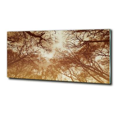 Foto schilderij op glas Woud