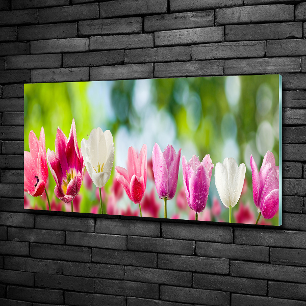 Glazen schilderij Tulpen