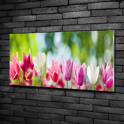 Glazen schilderij Tulpen