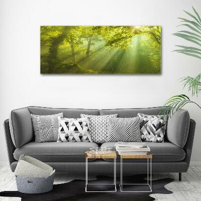 Glazen schilderij Bos in de zon