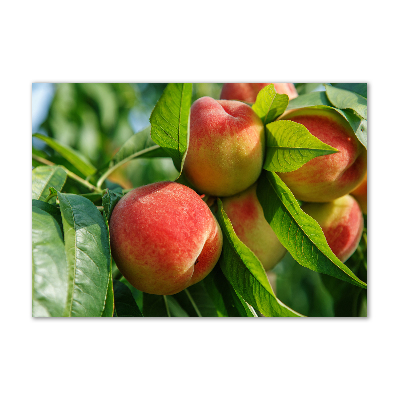 Schilderij glas Perziken