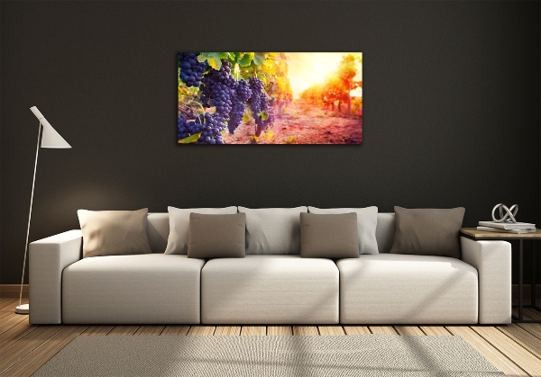 Schilderij op glas Wijnranken