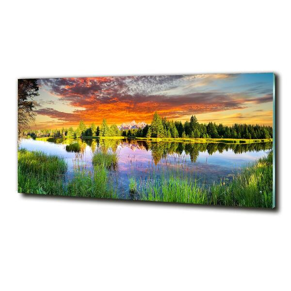 Foto schilderij op glas Rivier in het bos