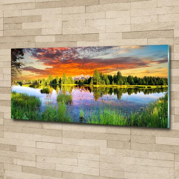 Foto schilderij op glas Rivier in het bos