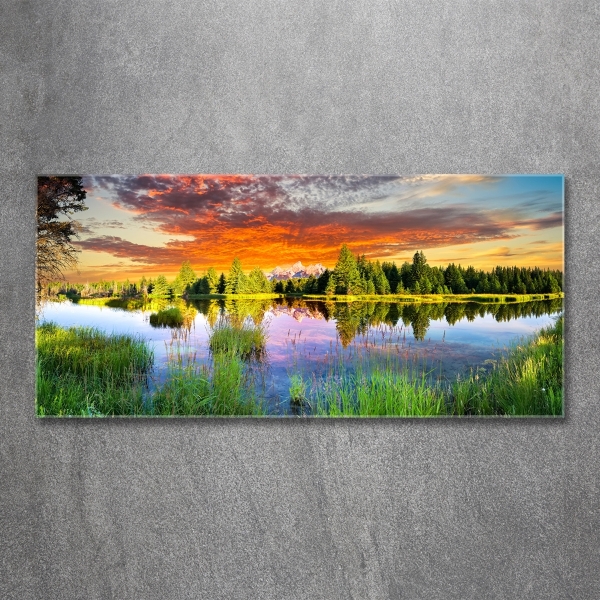 Foto schilderij op glas Rivier in het bos