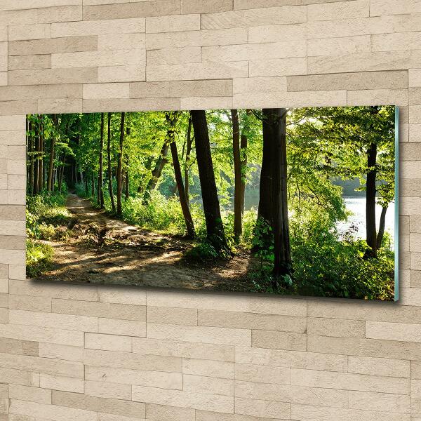 Schilderij op glas Pad in de weide