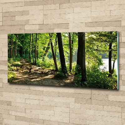 Schilderij op glas Pad in de weide