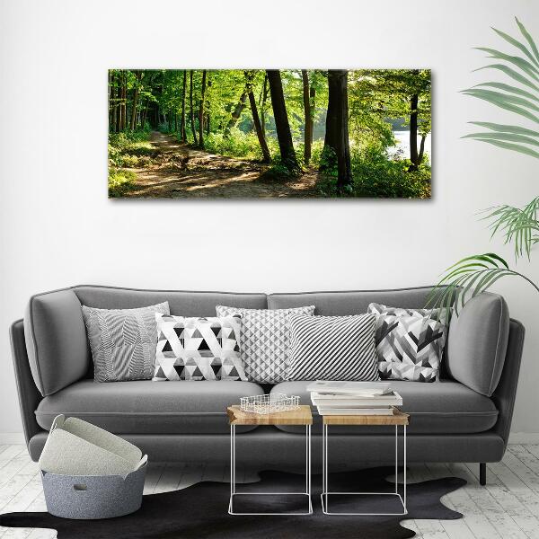 Schilderij op glas Pad in de weide