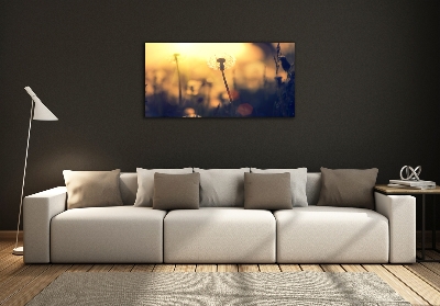 Foto schilderij op glas Paardebloem