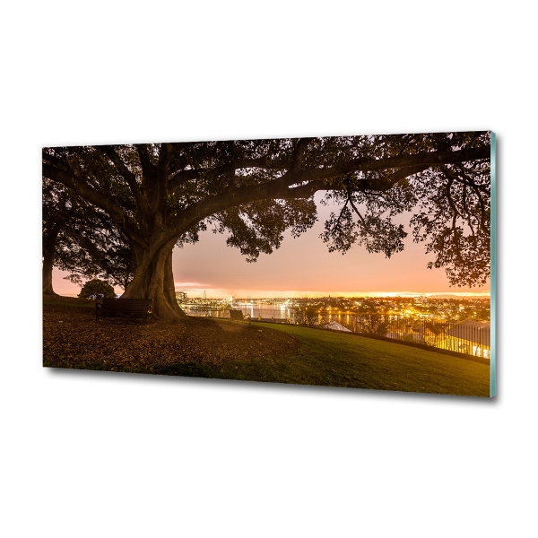 Foto schilderij op glas Oude boom