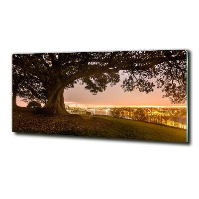 Foto schilderij op glas Oude boom