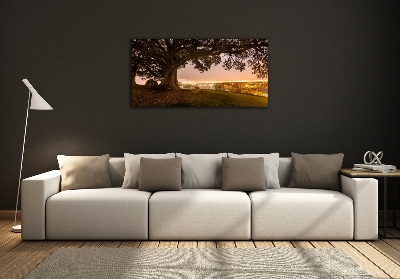 Foto schilderij op glas Oude boom