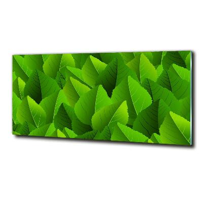 Schilderij glas Groene bladeren