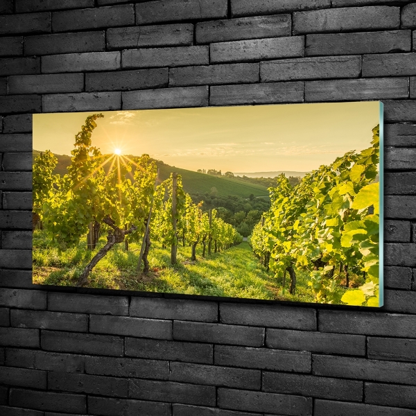 Glazen schilderij Wijngaard