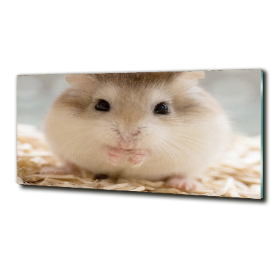Foto schilderij op glas Hamster