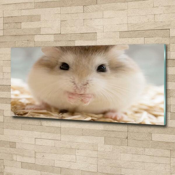 Foto schilderij op glas Hamster
