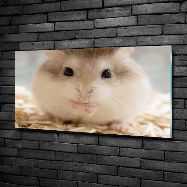Foto schilderij op glas Hamster