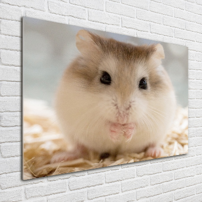 Foto schilderij op glas Hamster