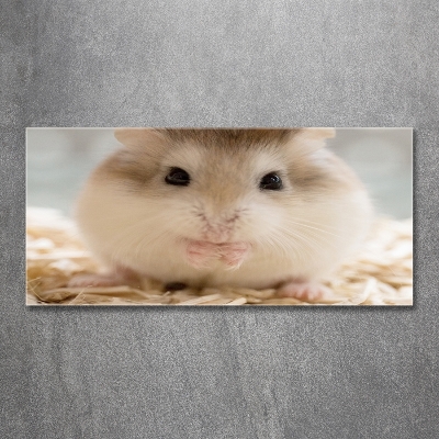 Foto schilderij op glas Hamster