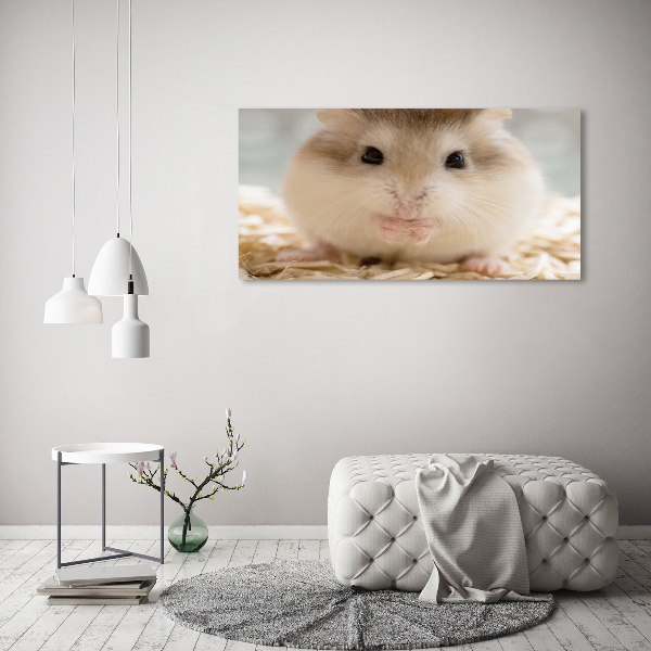 Foto schilderij op glas Hamster