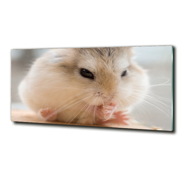 Schilderij op glas Hamster