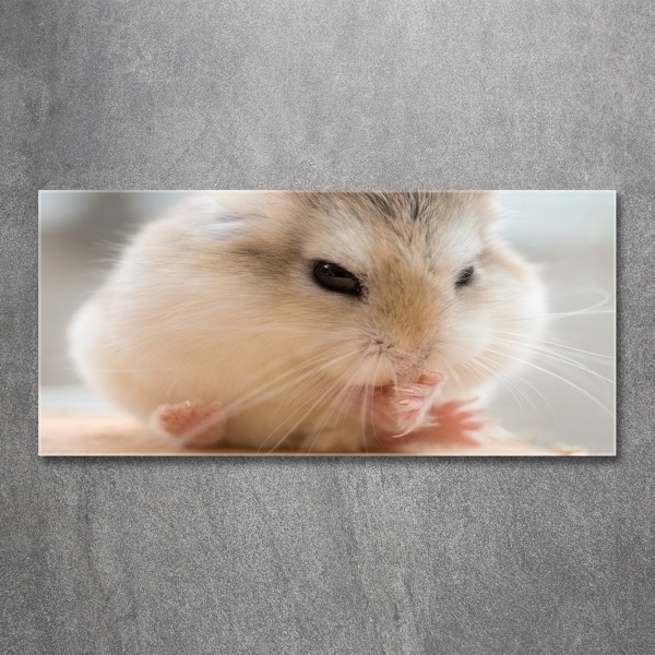 Schilderij op glas Hamster