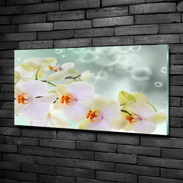 Foto schilderij op glas Witte orchidee