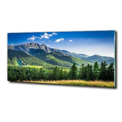 Schilderij glas Skischans in het Tatragebergte