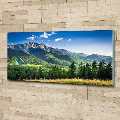 Foto obraz szklany Skocznia w Tatrach