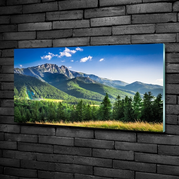 Schilderij glas Skischans in het Tatragebergte