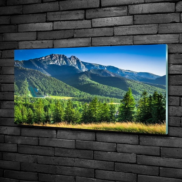 Foto obraz szklany Skocznia w Tatrach