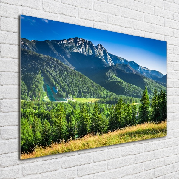 Foto obraz szklany Skocznia w Tatrach