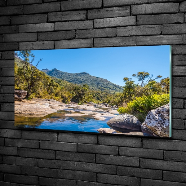 Foto schilderij op glas Rivier in het bos