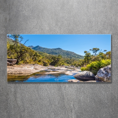 Foto schilderij op glas Rivier in het bos