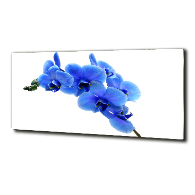 Schilderij op glas Blauwe orchidee