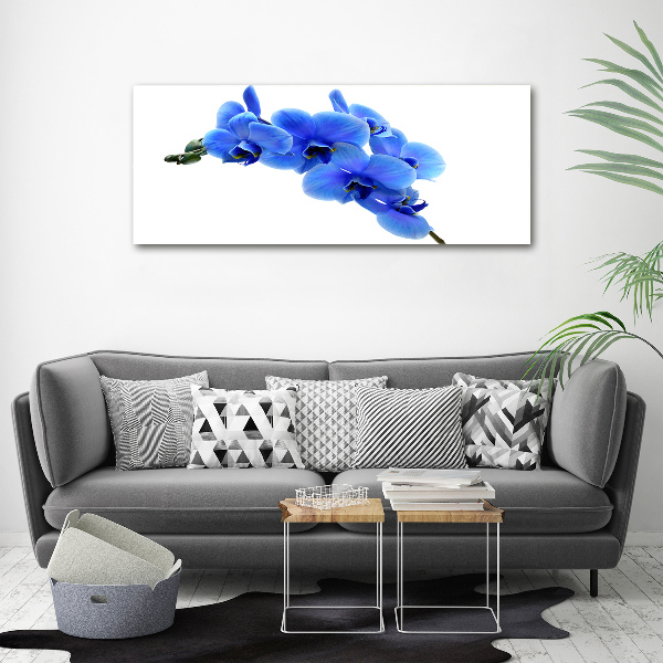 Schilderij op glas Blauwe orchidee
