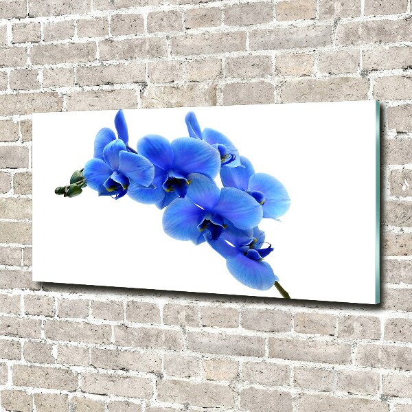 Schilderij op glas Blauwe orchidee