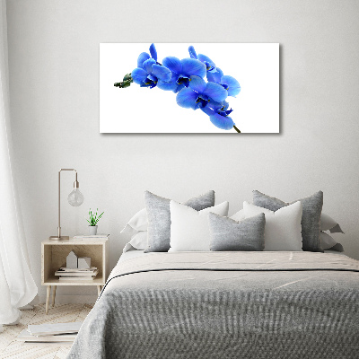 Schilderij op glas Blauwe orchidee