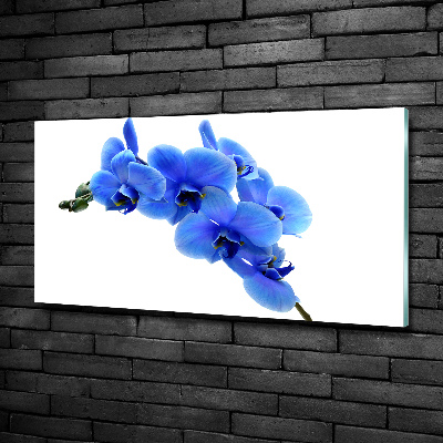 Schilderij op glas Blauwe orchidee
