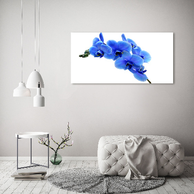 Schilderij op glas Blauwe orchidee