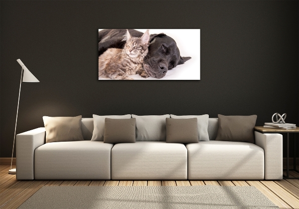 Foto-obraz szkło hartowane Pies z kotem