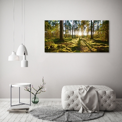 Foto schilderij op glas Dennenbos