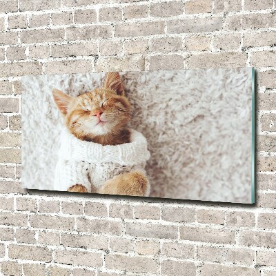 Schilderij op glas Katje in een trui