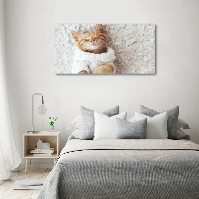 Schilderij op glas Katje in een trui