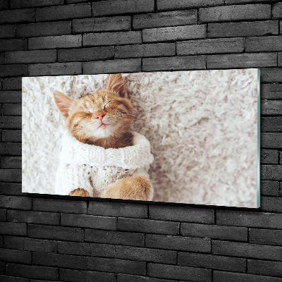 Schilderij op glas Katje in een trui