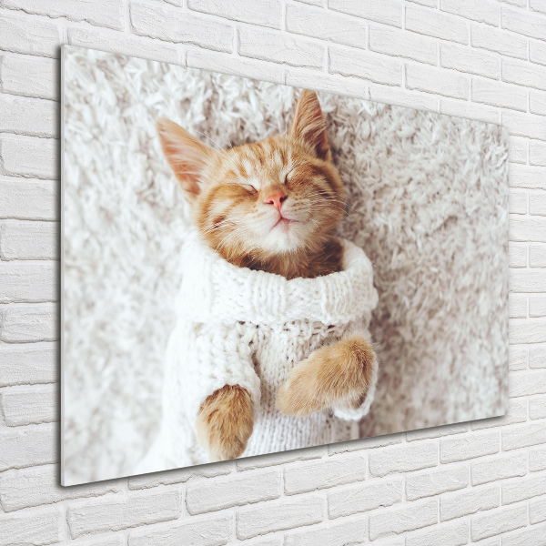 Schilderij op glas Katje in een trui