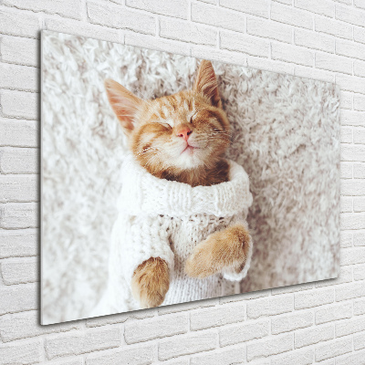 Schilderij op glas Katje in een trui
